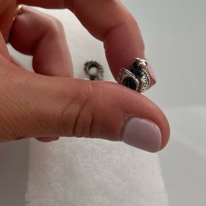 Pandora swan charm.